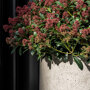 Pottery Pots Urban Jumbo Charlie ronde plantenbak beige